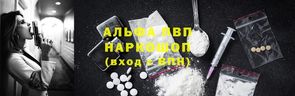 шишки Медногорск