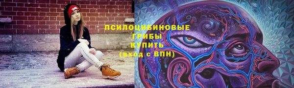 шишки Медногорск