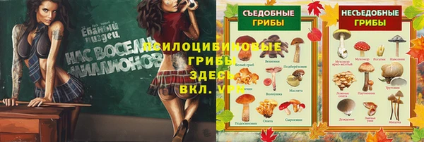 МДМА Мегион