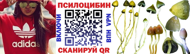 Галлюциногенные грибы Psilocybine cubensis  Котлас 