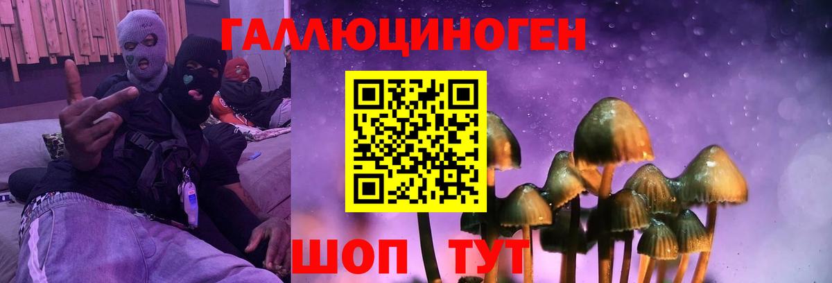 Котлас  Галлюциногенные грибы MAGIC MUSHROOMS  Вход с VPN  Псилоцибиновые грибы ЛСД 