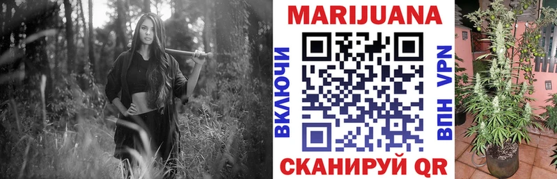 цены наркотик  Котлас  Бошки марихуана Amnesia 